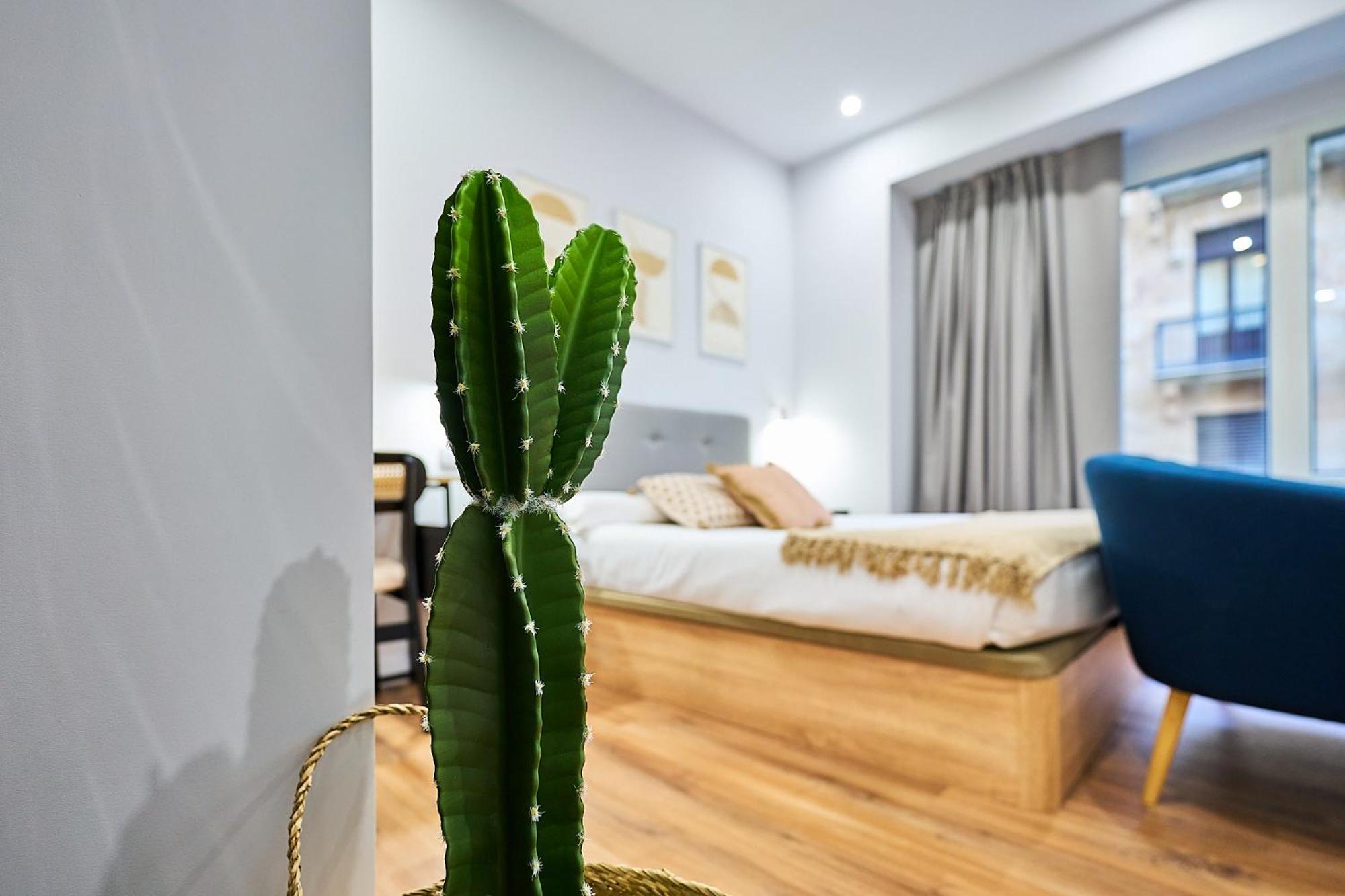 Apartamentos Esperanza By Gaiarooms Salamanca Exteriör bild